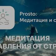 Читает Юрий Борисов