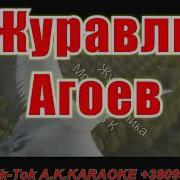 Минус Журавли Виктория