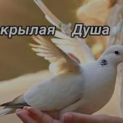 Белокрылая Душа