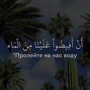 Mohammad Al Assimi Аль Араф