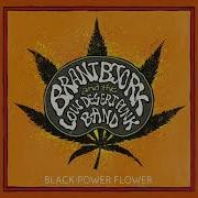 Brant Bjork Black Power Flower