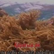 Қарағым Ай Минус