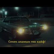 Сенен Аламын Тек Кайф