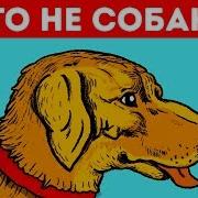 Иллюзии Восприятия