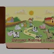 Умачка Животные