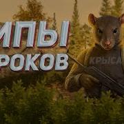 Егорыч