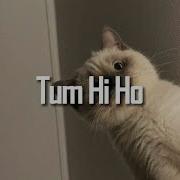 Tum Hi Ho Speed Up