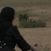 Arshaluys Norer Bacvel