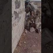 Братишка Жду Домой С Войны