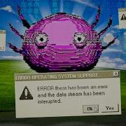Kinitopet