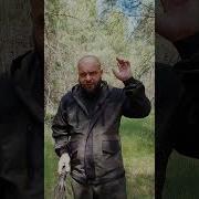 По Еблищу Сработал