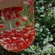 Брусничная Вода И Снотворное