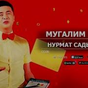 Мугалим Жонундо Ыр