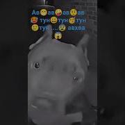 А Хва А Хва