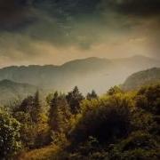 Крик Души Сергей Грищук