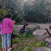 Прикоп Стас Экстаз