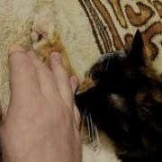 Кожаный Мешок Тебя Сообщение