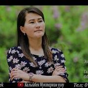 Айсулуу Эсенбек Кызы