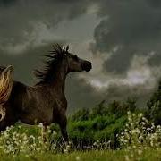 Дарига Даурен Remix