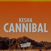 Kesha Cannibal 432Hz