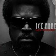 Ice Cube Raw Footage Rar