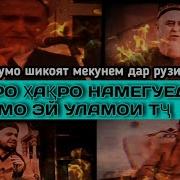 Насихат Точики