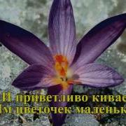 Капелька Солнышка Минус