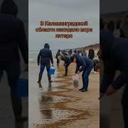 Речка Кута Пасёлок Янталь