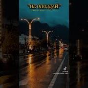 Не Опоздай Ведь Жизни Так Немного