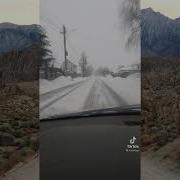 Пьяный Мужик Камыш Горит