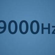 9000 Гц