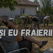 Nelu Ciulin Cover