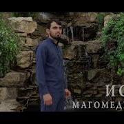 Иса Магомеднабиев Нашиды