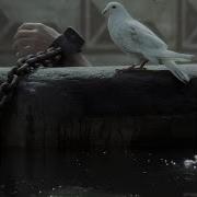 Yourdopetherrapy Dolya Vorovskaya Special Version