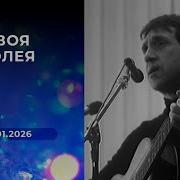 Своя Колея