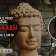 Мозг Будды Хансон