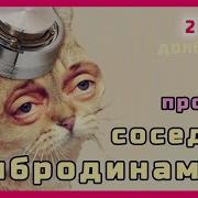Для Вибродинамика