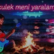 Kulek Meni Yaralama