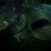 I Never Knew My Father