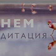 Дневная Медитация На Позитив