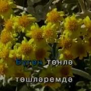 Борлегэн Минус