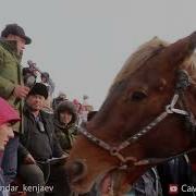 Дашти Калон