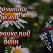 Минусовка Ромашка Белый Цвет