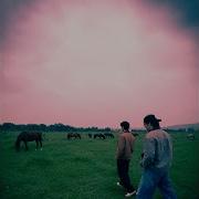 Стань Моей Судьбой