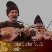 Lin Pelin