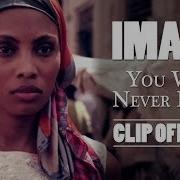 Imany You Will Never Know