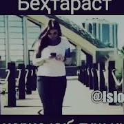 Зани Бе Сатр