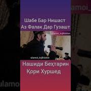 Кори Хуршед Нашид