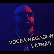 Vocea Vagabontilor