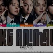 Bts Like Animals Lyrics